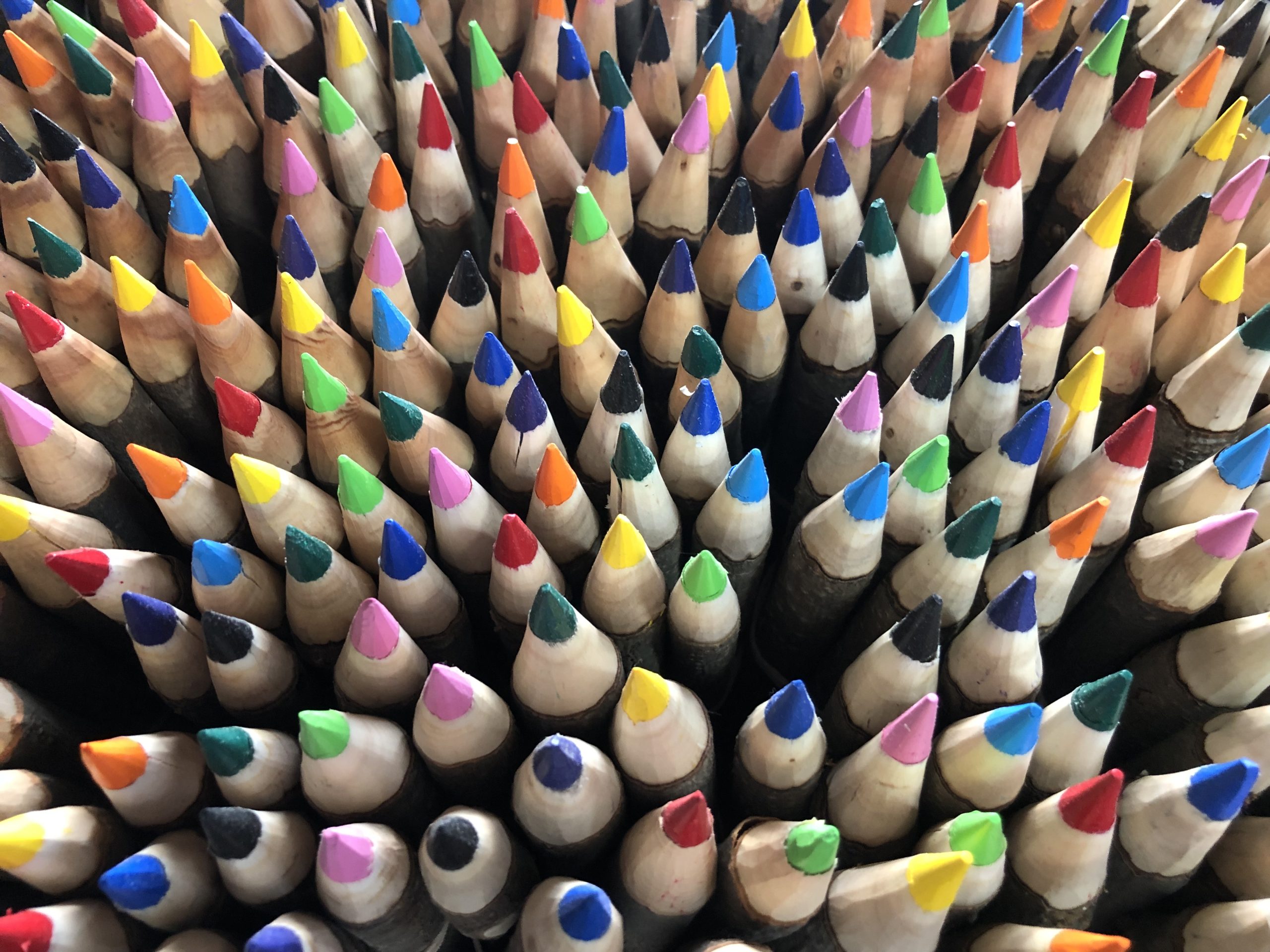 森のいろえんぴつ | 木創取扱商品のご案内 | 木創 mokusou